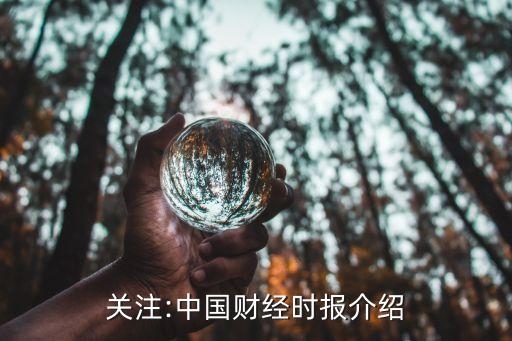 關(guān)注:中國財經(jīng)時報介紹