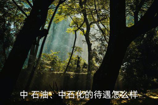 中 石油、中石化的待遇怎么樣