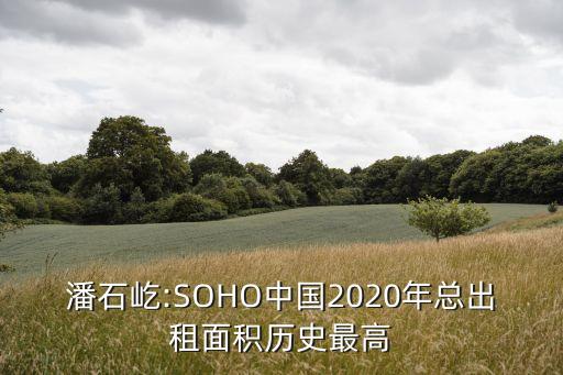 潘石屹:SOHO中國2020年總出租面積歷史最高