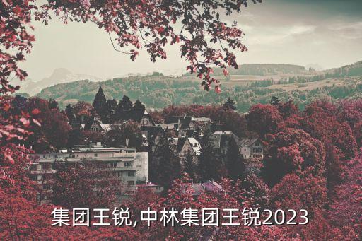 卓越集團(tuán)王銳,中林集團(tuán)王銳2023