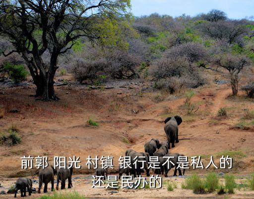 前郭 陽光 村鎮(zhèn) 銀行是不是私人的還是民辦的