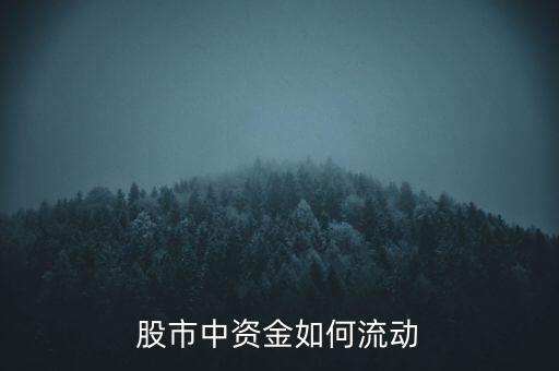 股票與資金流,股票資金流向哪個軟件更準(zhǔn)確