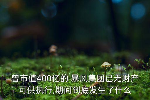 曾市值400億的 暴風(fēng)集團(tuán)已無財產(chǎn)可供執(zhí)行,期間到底發(fā)生了什么