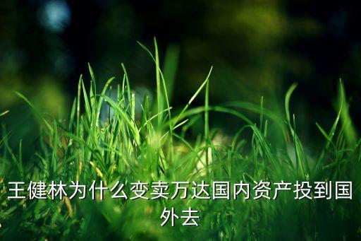 王健林為什么變賣萬(wàn)達(dá)國(guó)內(nèi)資產(chǎn)投到國(guó)外去