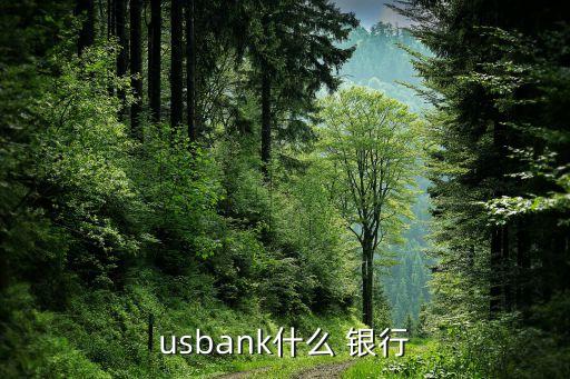 usbank什么 銀行