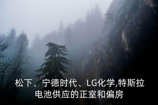  松下、寧德時代、LG化學(xué),特斯拉電池供應(yīng)的正室和偏房