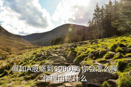 假如A股漲到5000點(diǎn),你會怎么操作理由是什么