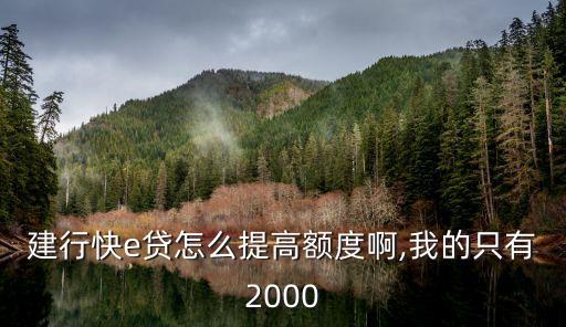 建行快e貸怎么提高額度啊,我的只有2000