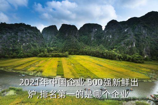 中國500強(qiáng)企業(yè)家俱樂部,中國HRO企業(yè)家俱樂部