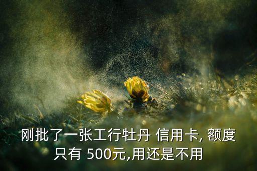 剛批了一張工行牡丹 信用卡, 額度只有 500元,用還是不用