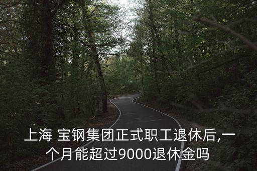  上海 寶鋼集團(tuán)正式職工退休后,一個(gè)月能超過9000退休金嗎