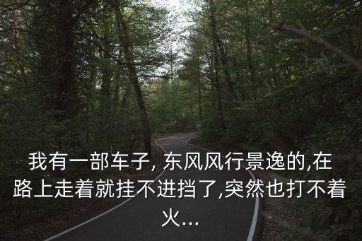 我有一部車子, 東風(fēng)風(fēng)行景逸的,在路上走著就掛不進(jìn)擋了,突然也打不著火...