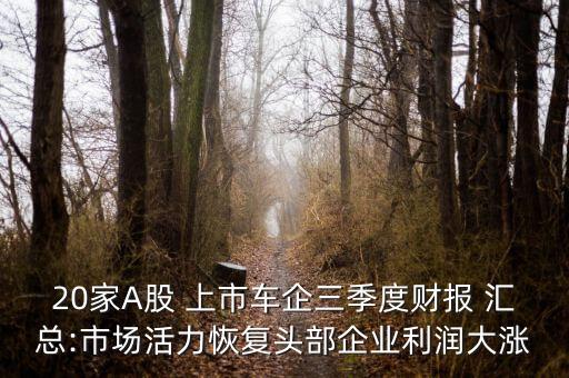 20家A股 上市車企三季度財報 匯總:市場活力恢復頭部企業(yè)利潤大漲