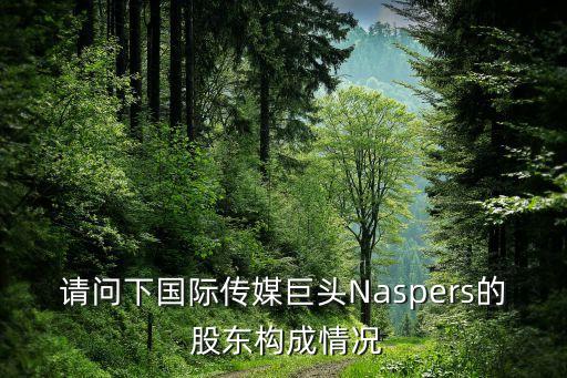 請(qǐng)問(wèn)下國(guó)際傳媒巨頭Naspers的 股東構(gòu)成情況