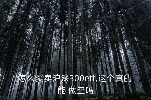 怎么買賣滬深300etf,這個真的能 做空嗎