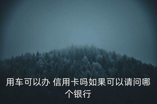 用車可以辦 信用卡嗎如果可以請問哪個(gè)銀行