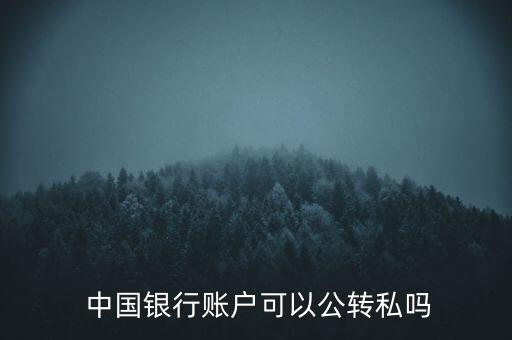  中國銀行賬戶可以公轉(zhuǎn)私嗎