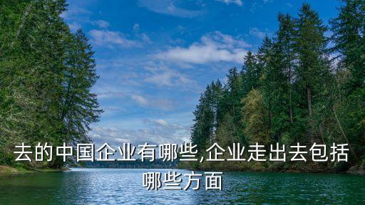 走出去的中國(guó)企業(yè)有哪些,企業(yè)走出去包括哪些方面