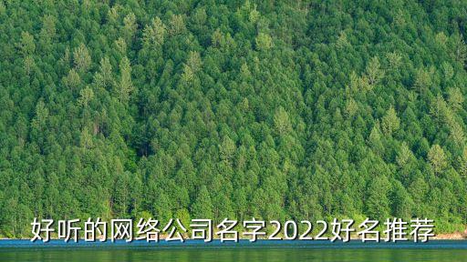 好聽(tīng)的網(wǎng)絡(luò)公司名字2022好名推薦