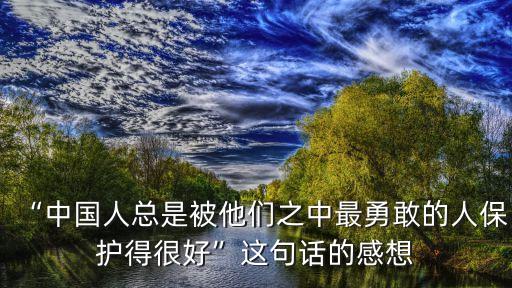 “中國(guó)人總是被他們之中最勇敢的人保護(hù)得很好”這句話(huà)的感想