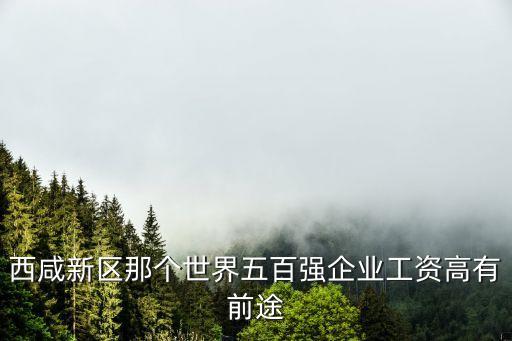 西咸新區(qū)那個世界五百強(qiáng)企業(yè)工資高有前途