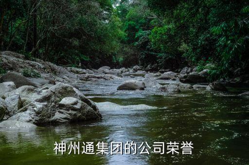 神州通集團(tuán)的公司榮譽(yù)