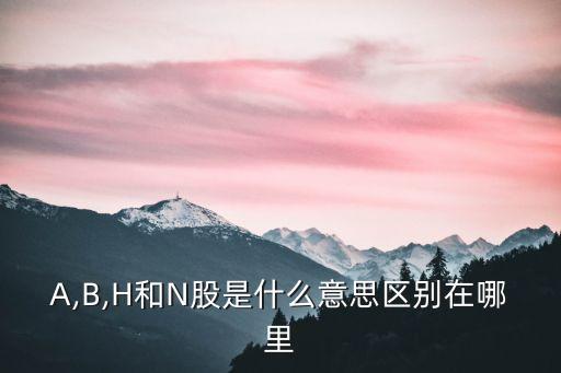 含n股的公司,A股有哪些公司