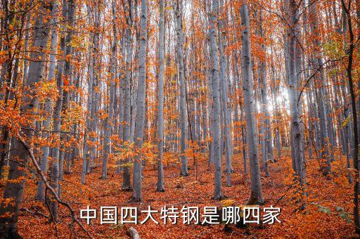 灤縣榮義鋼鐵有限公司,河北鋼鐵集團(tuán)灤縣常峪鐵礦有限公司