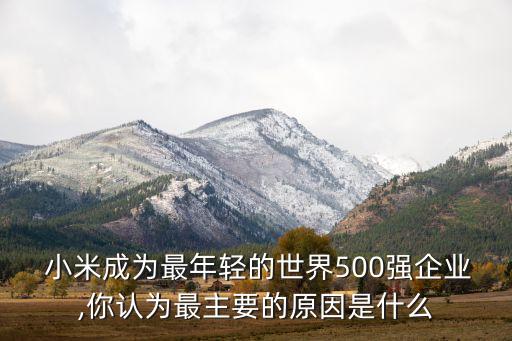  小米成為最年輕的世界500強(qiáng)企業(yè),你認(rèn)為最主要的原因是什么