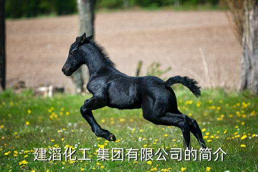  建滔化工 集團(tuán)有限公司的簡(jiǎn)介