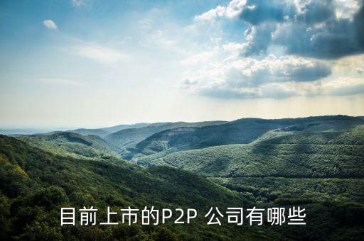 p2p平臺(tái)知名公司,知名P2P平臺(tái)有哪些