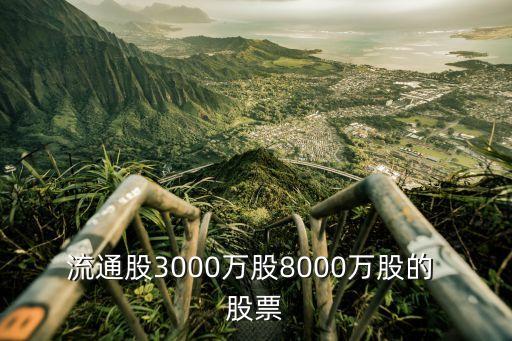 流通股3000萬(wàn)股8000萬(wàn)股的 股票