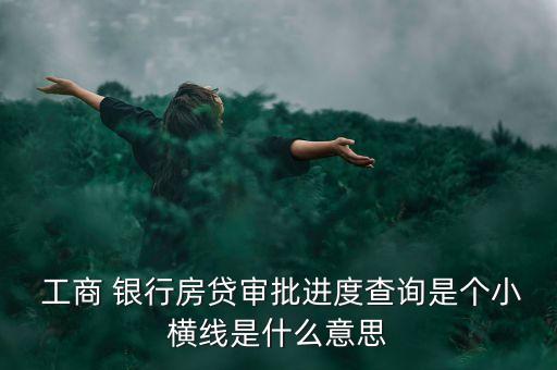  工商 銀行房貸審批進(jìn)度查詢是個小橫線是什么意思