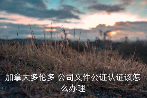 公司董事名冊(cè),公司名冊(cè)是什么意思