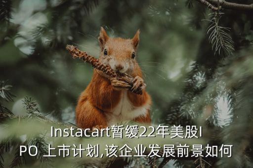 Instacart暫緩22年美股IPO 上市計(jì)劃,該企業(yè)發(fā)展前景如何