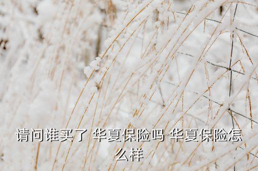 請(qǐng)問誰買了 華夏保險(xiǎn)嗎 華夏保險(xiǎn)怎么樣