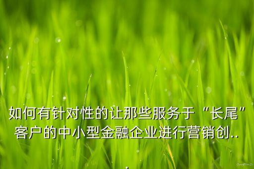 如何有針對(duì)性的讓那些服務(wù)于“長(zhǎng)尾”客戶的中小型金融企業(yè)進(jìn)行營(yíng)銷創(chuàng)...