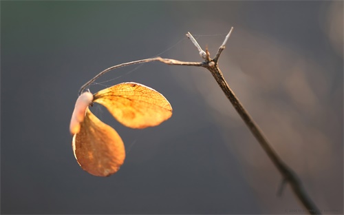 賣水產(chǎn)利潤怎么樣,趕集賣海鮮利潤怎么樣